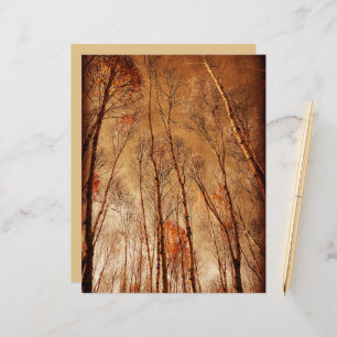 Trees Vintage Brown Orange Woodland Forest