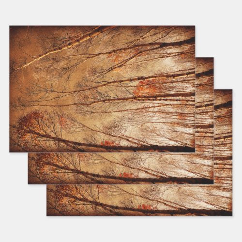  Trees Vintage Brown Orange Woodland Forest Wrapping Paper Sheets