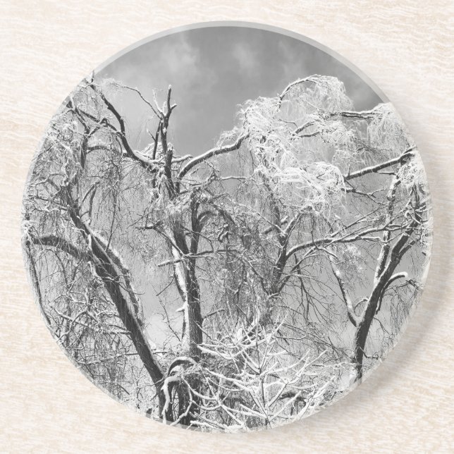 trees wear winter coaster (Front)