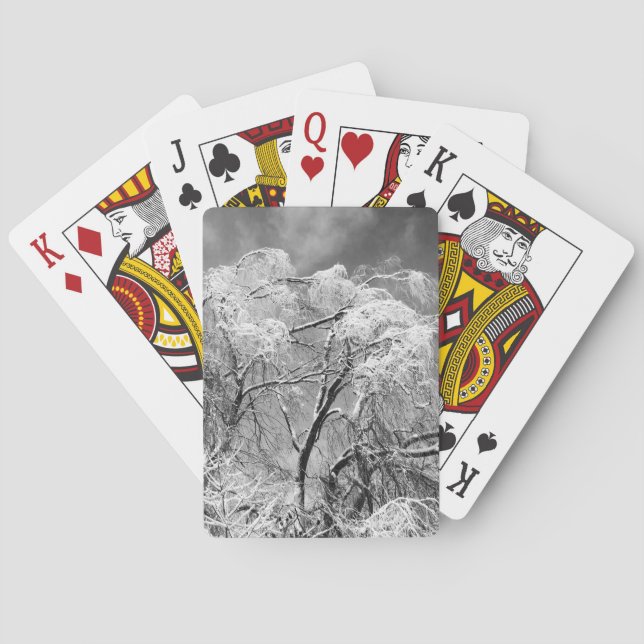 trees wear winter poker cards (Back)