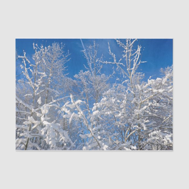 Trees Winter Snow Covered Blue Sky Scenery Tissue Paper (Front)