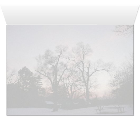 Trees with a sunset (Inside Horizontal (Bottom))