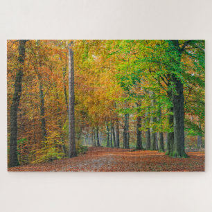 Trees with autumn foliage in a forest jigsaw puzzle