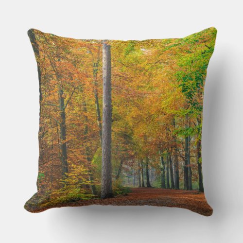 Trees with autumn foliage in a forest throw pillow