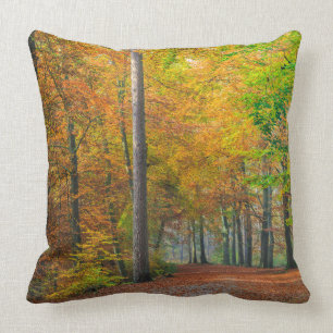 Trees with autumn foliage in a forest throw pillow