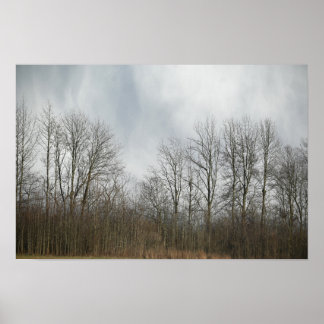 Trees with Clouds Poster