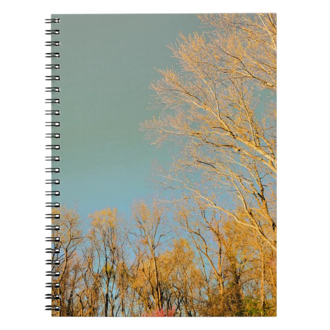 Trees with Stormy Sky View Notebook (Front)