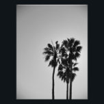 Treesome Photo Print<br><div class="desc">Treesome - 3 palm trees. Location - La Jolla, CA</div>