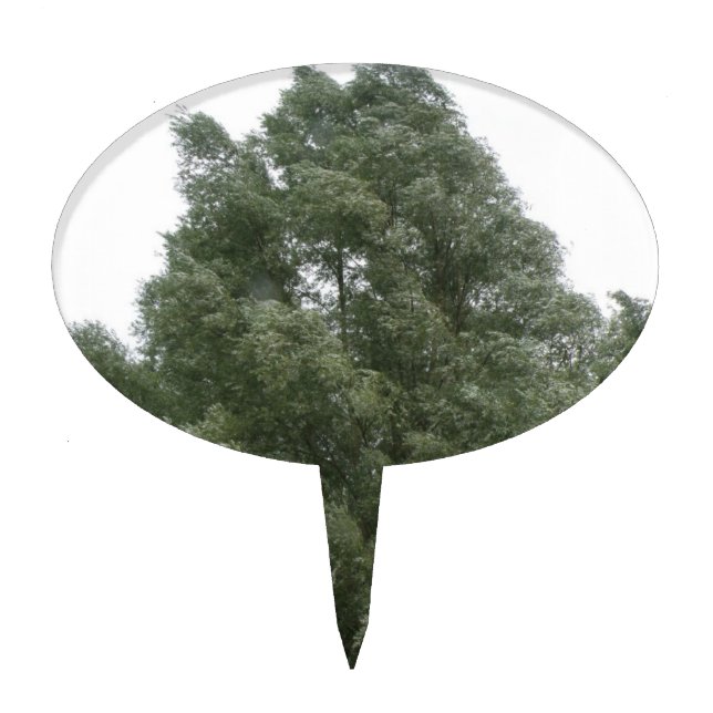 Treetops Cake Pick (Front)