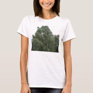 Treetops Ladies T Shirt