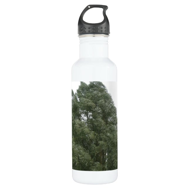 Treetops Water Bottle (Front)