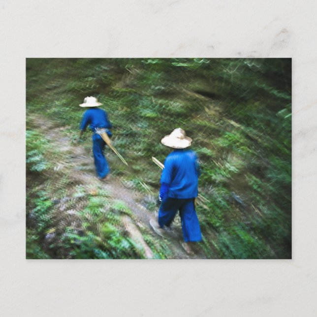 Trekking Through the Thai Jungle Postcard (Front)
