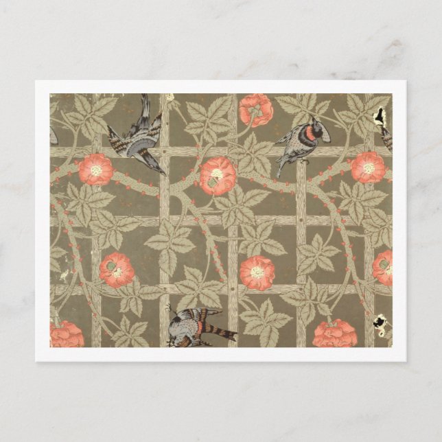 Trellis wallpaper design with a bottle green backg postcard (Front)