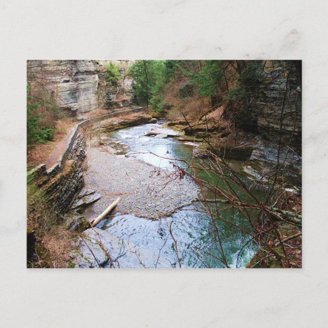 TREMAN STATE PARK ,ITHACA,N.Y. postcard (Front)