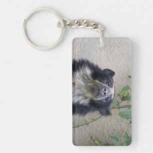 Tremarctos ornatus - Brillenbär Keychain