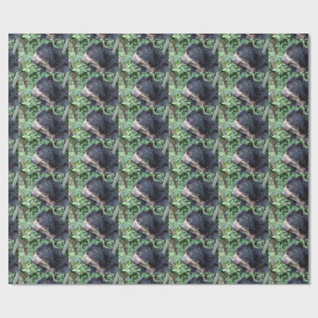 Tremarctos ornatus wrapping paper (Flat)