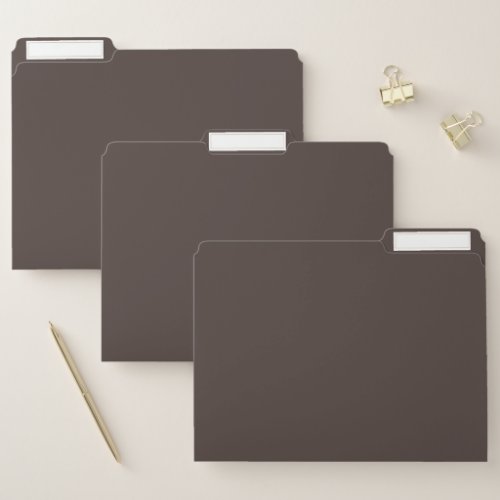 Trend Color _ Coffee Brown File Folder