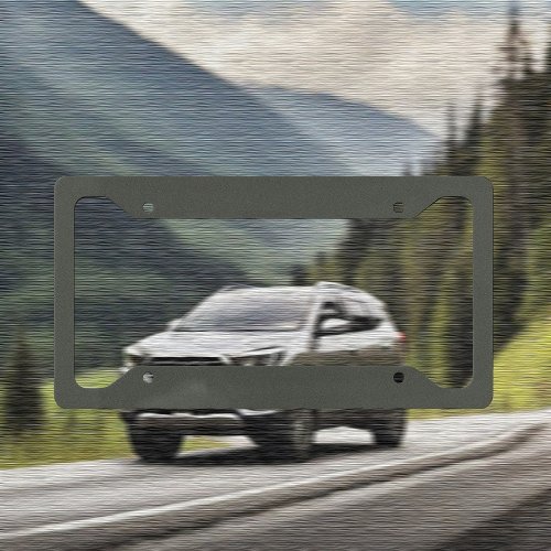 Trend Color _ Dark Forest Gray License Plate Frame