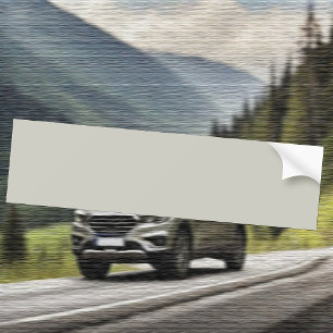 Trend Color - Light Silver Gray Bumper Sticker