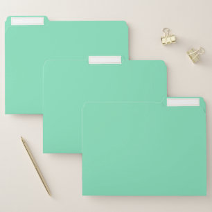 Trend Color - Minty Green File Folder