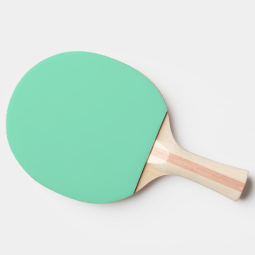 Trend Color _ Minty Green Ping Pong Paddle