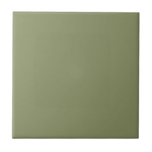 Trend Color - Reed Green Ceramic Tile