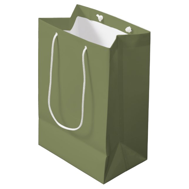 Trend Color - Reed Green Gift Bag (Front Angled)