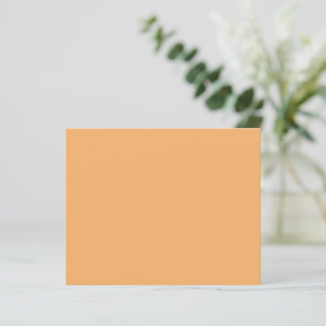 Trend Color - Soft Orange Paper Sheet (Standing Front)