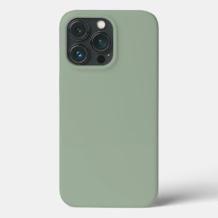 Trend Color Soft Sage iPhone 13 Pro Case