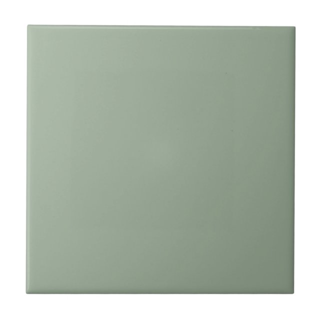 Trend Color Soft Sage Ceramic Tile (Front)