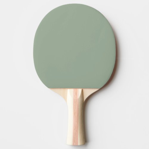 Trend Color Soft Sage Ping Pong Paddle