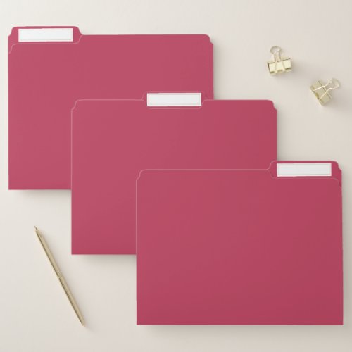 Trend Color _ Vibrant Magenta File Folder