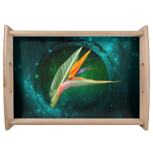 trendy bird of paradise flower floral serving tray