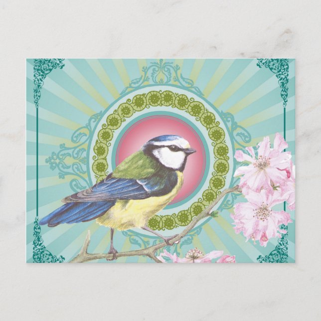 Trendy Bird...postcard Postcard (Front)