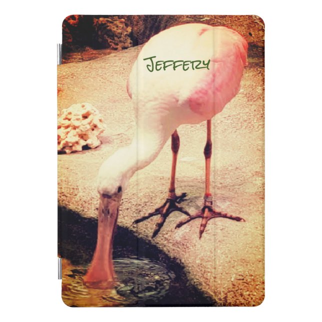 Trendy Birds Roseate Spoonbill iPad Pro Cover (Front)
