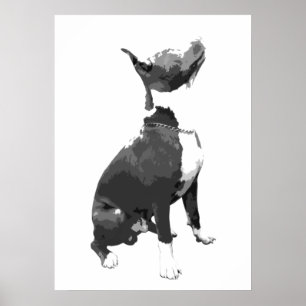 Trendy black and white Pit Bull dog Poster