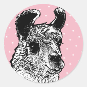 Trendy Black & White Llama White Polka Dots Classic Round Sticker