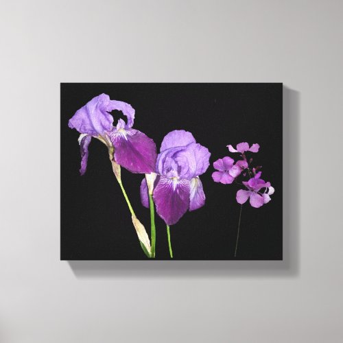 Trendy boho purple iris tulip flowers digital art canvas print