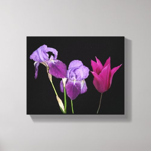 Trendy boho purple iris tulip flowers digital art canvas print