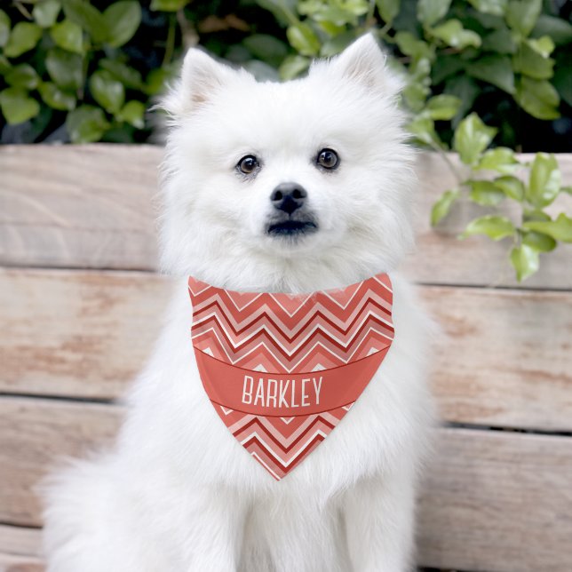 Trendy Chevron Pattern with name block Pet Bandana Collar (Dog)