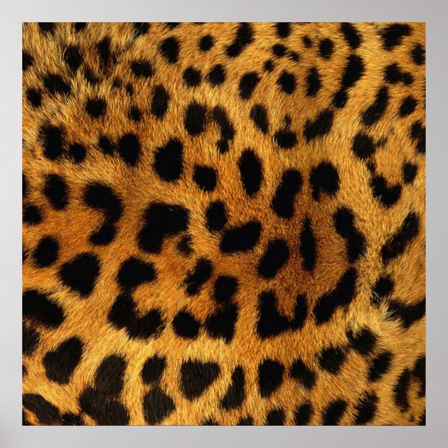 trendy chic animal pattern brown leopard print (Front)