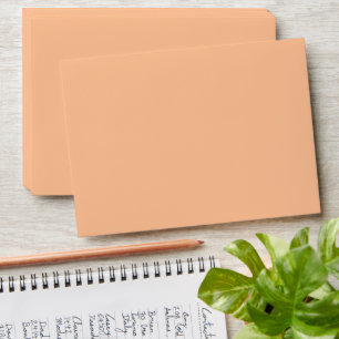 Trendy Color Peach Fuzz Solid Color Elegant Envelope