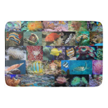 Trendy Coral Reef Marine Life: Fish and Animals