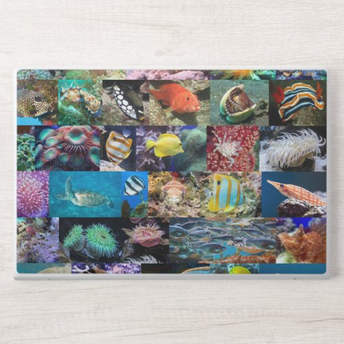 Trendy Coral Reef Photos Marine Life Enthusiasts HP Laptop Skin