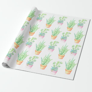 Trendy Cute Potted Succulents Illlustration Wrapping Paper