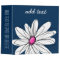 Trendy Daisy Floral Illustration - navy and pink