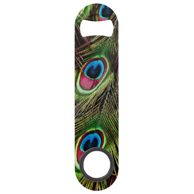 trendy green purple teal turquoise peacock feather bar key (Front)