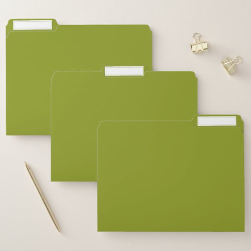 Trendy Green solid color File Folder