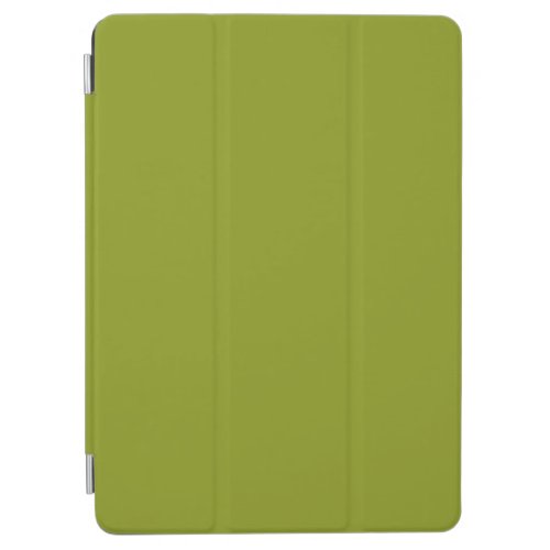 Trendy Green solid color iPad Air Cover