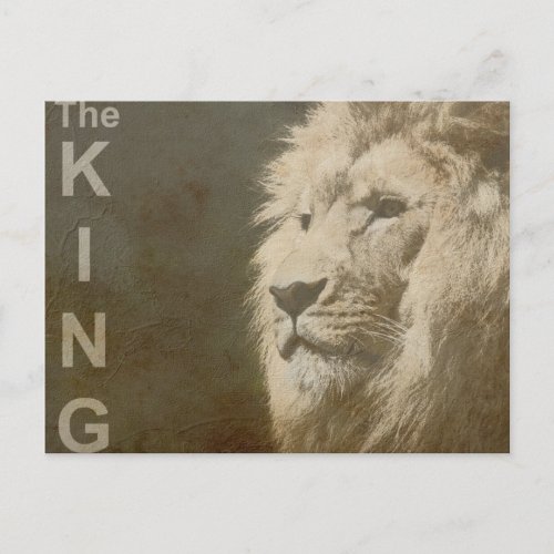 Trendy Lion Head The King Modern Pop Art Template Postcard